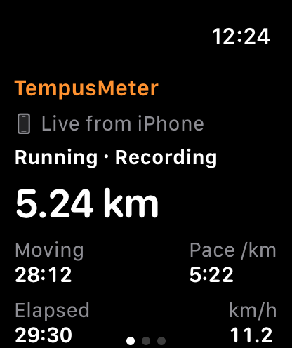 TempusMeter watchOS companion showing fictional iPhone activity metrics