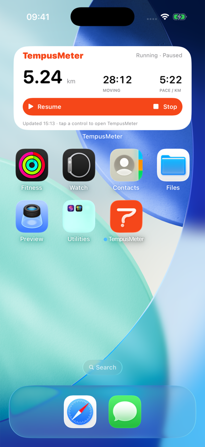 TempusMeter widget on an iPhone simulator Home Screen with fictional activity data